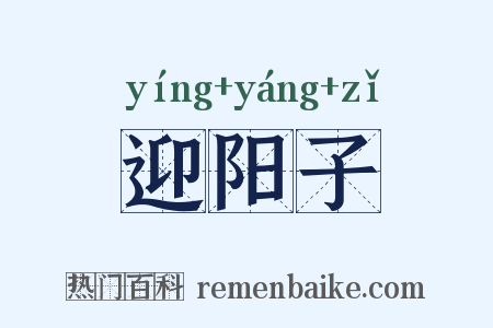 迎阳子是什么意思的图片